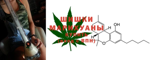 ешки Протвино
