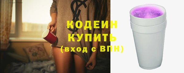 индика Россошь