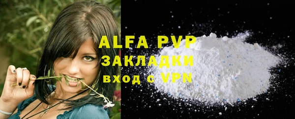PSILOCYBIN Дубовка