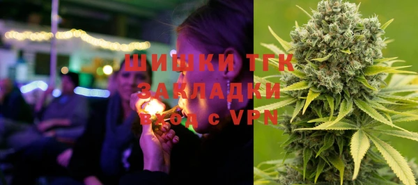 индика Россошь