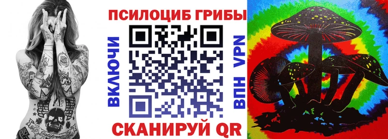 Купить закладки  Любим  Псилоцибиновые грибы мицелий 